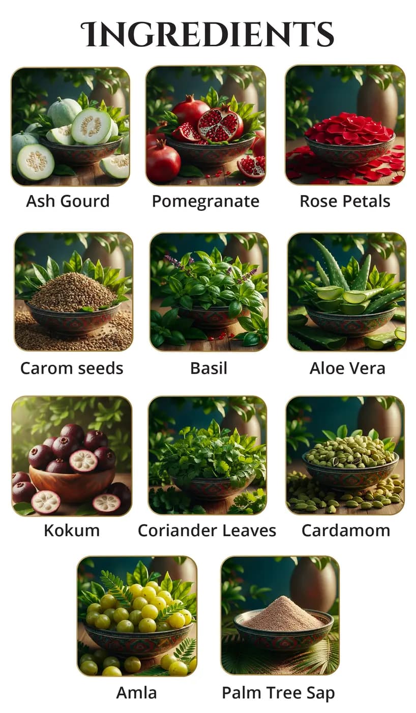 Illustrated ingredients of Acid Healer Combo