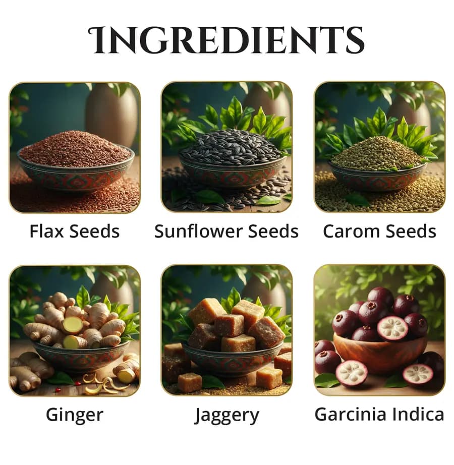 Illustrated ingredients of Flax Seed Podi Mix