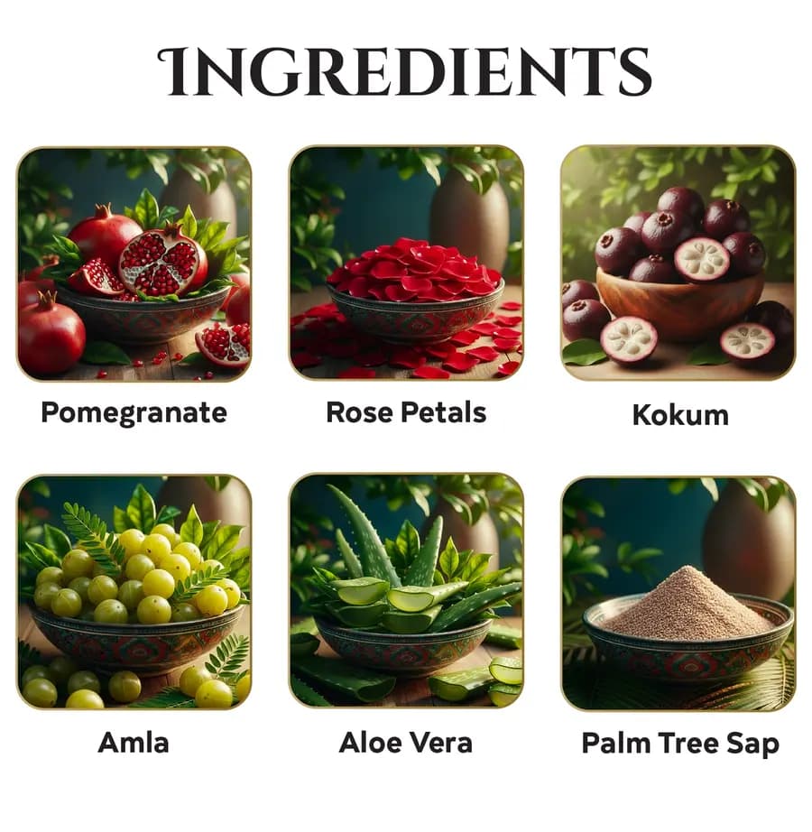 Illustrated ingredients of Pomegranate Podi Mix